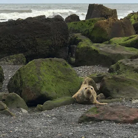 Holiday home Mill House